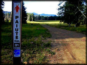 The Paiute Trail